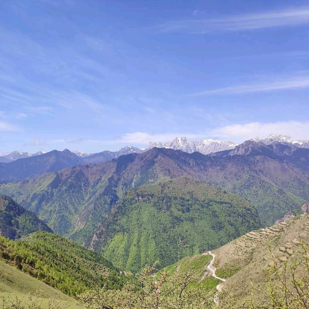 流贝迪米滋补专卖店