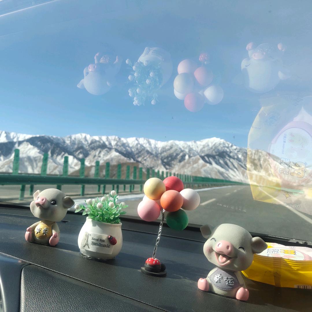 我姓柴却拆不穿你的谎言