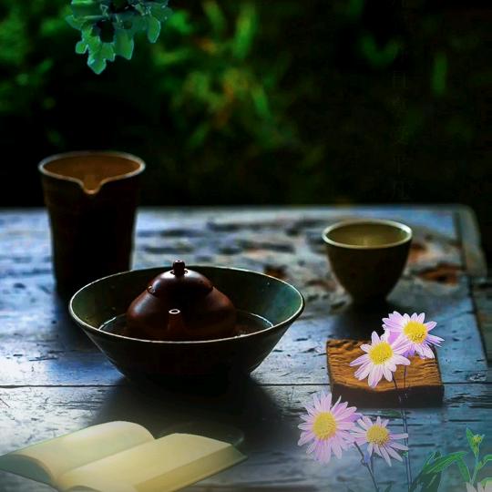 煮茶品人生