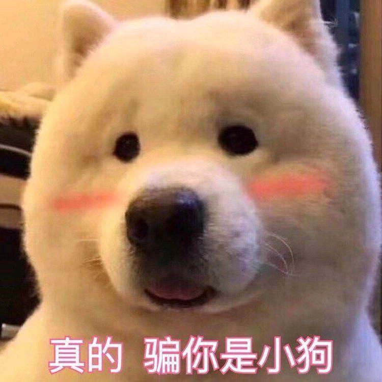 玉面飞龙至尊宝