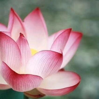 小桥流水