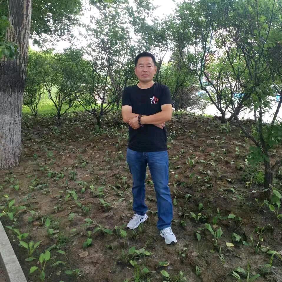 东北段哥