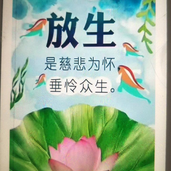丁侠板面