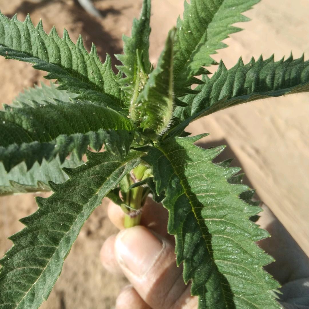 人生就是一场修行一场梦