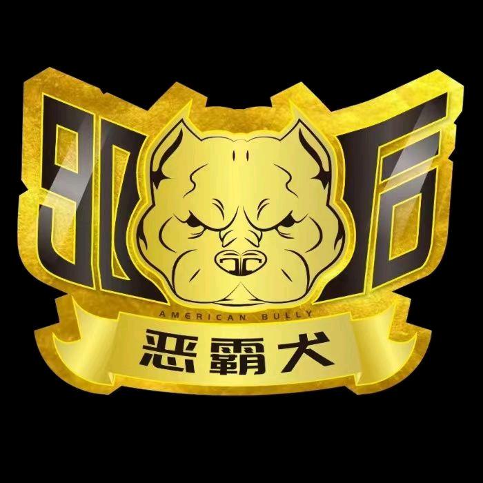 九零后恶霸犬俱乐部