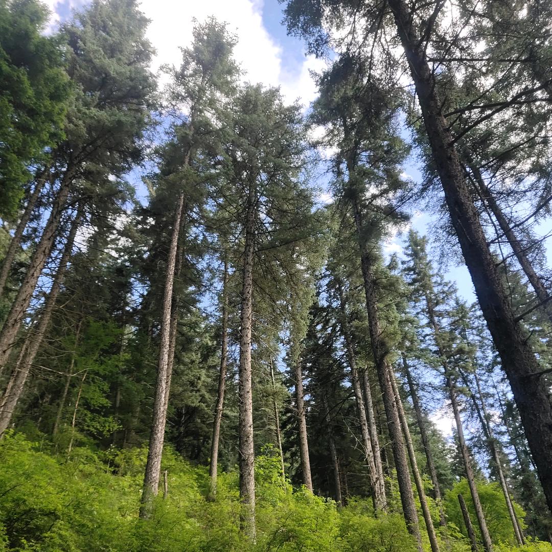 戈壁滩的缔造者