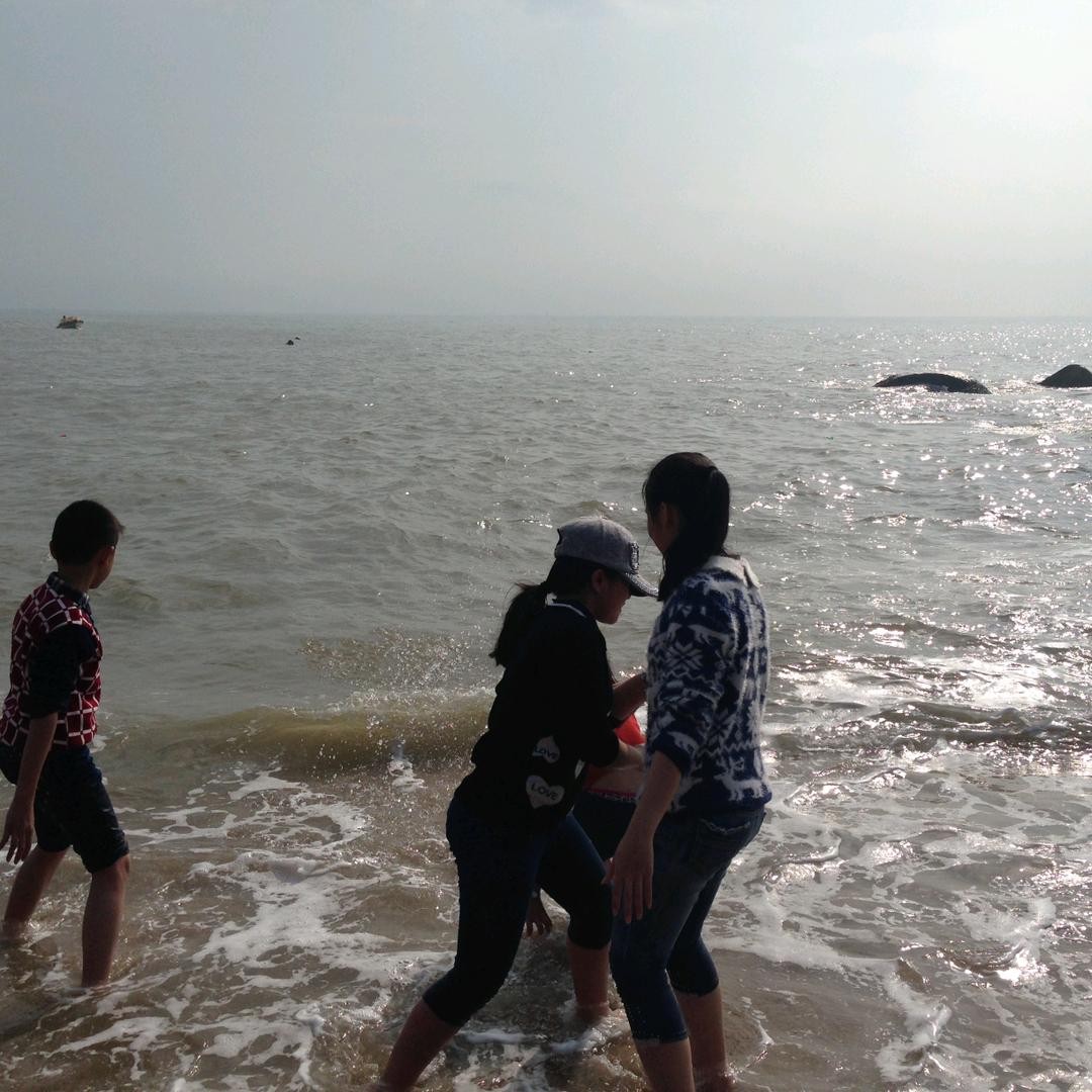 开心的马