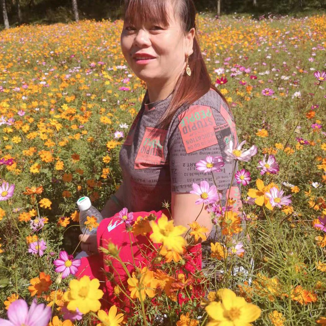 带刺的玫瑰🌹