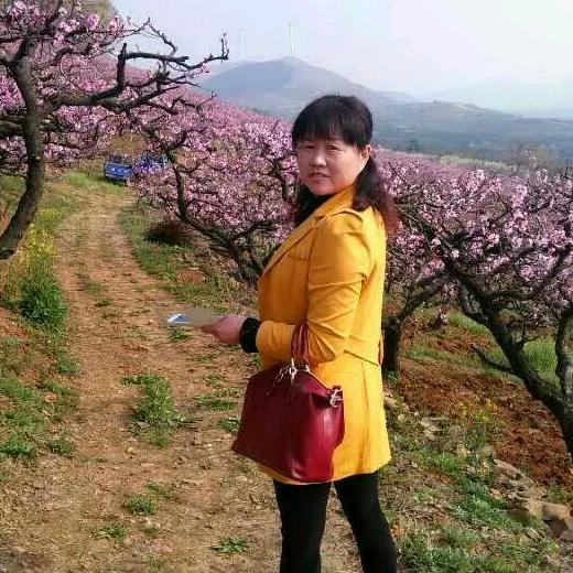 如花似锦