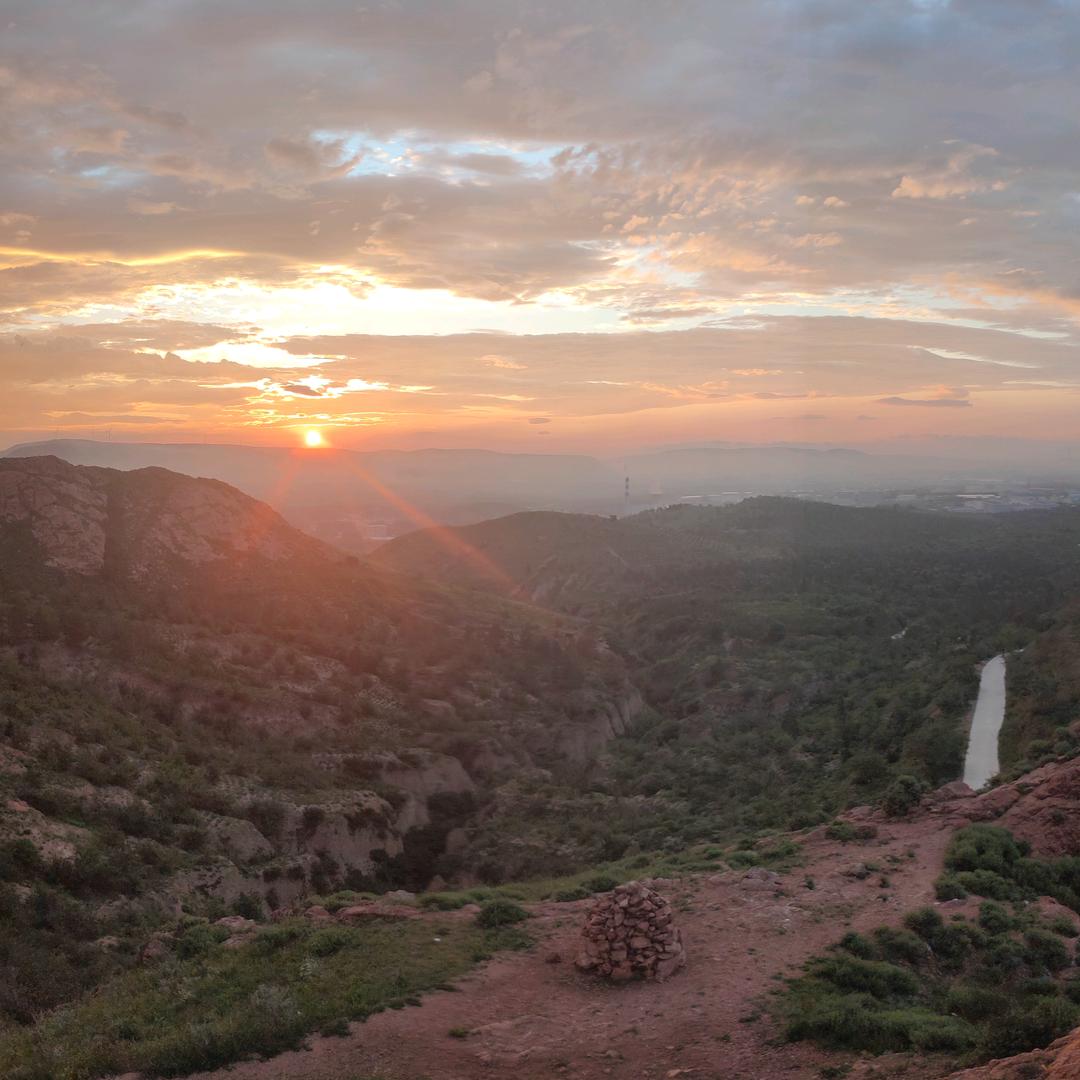 ヾ(´〇｀)ﾉ♪♪♪