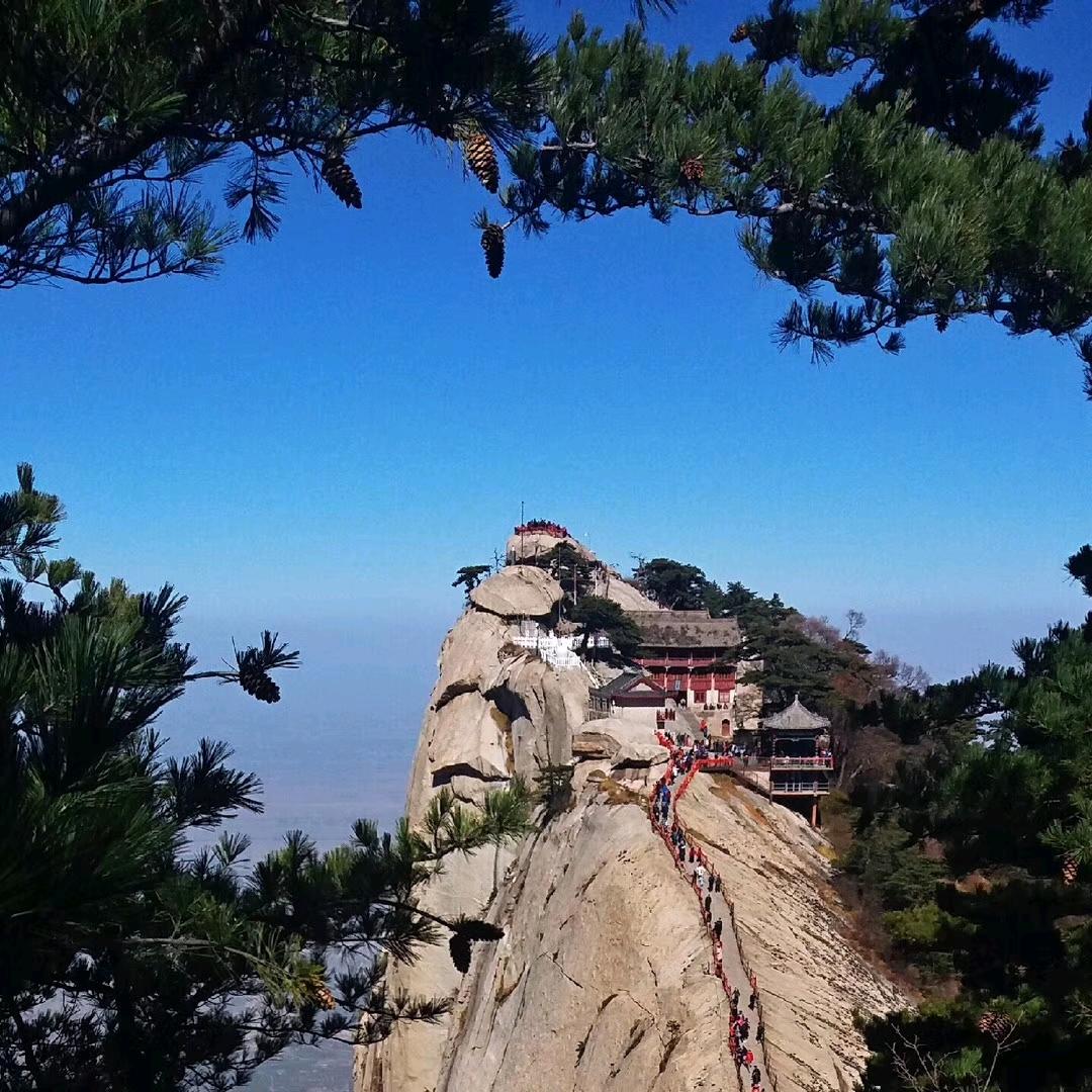 @北雁南飞