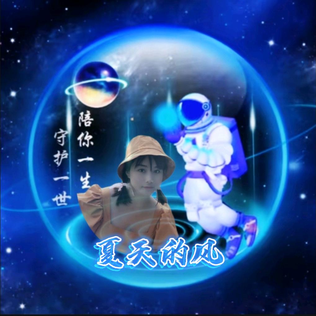 夏天的风(陪伴小燕子到永久)