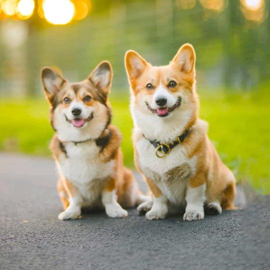 7788