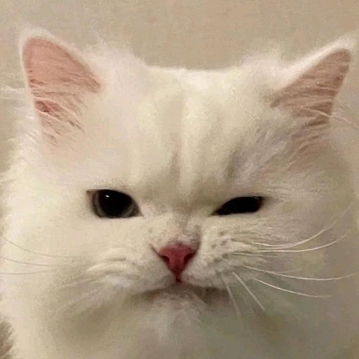 _