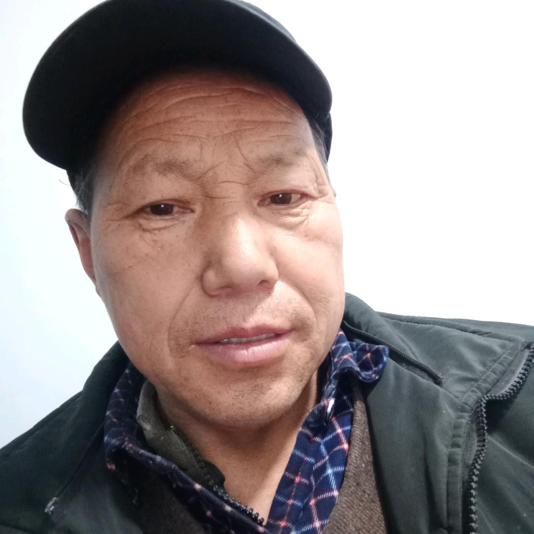 门前有棵小柳树