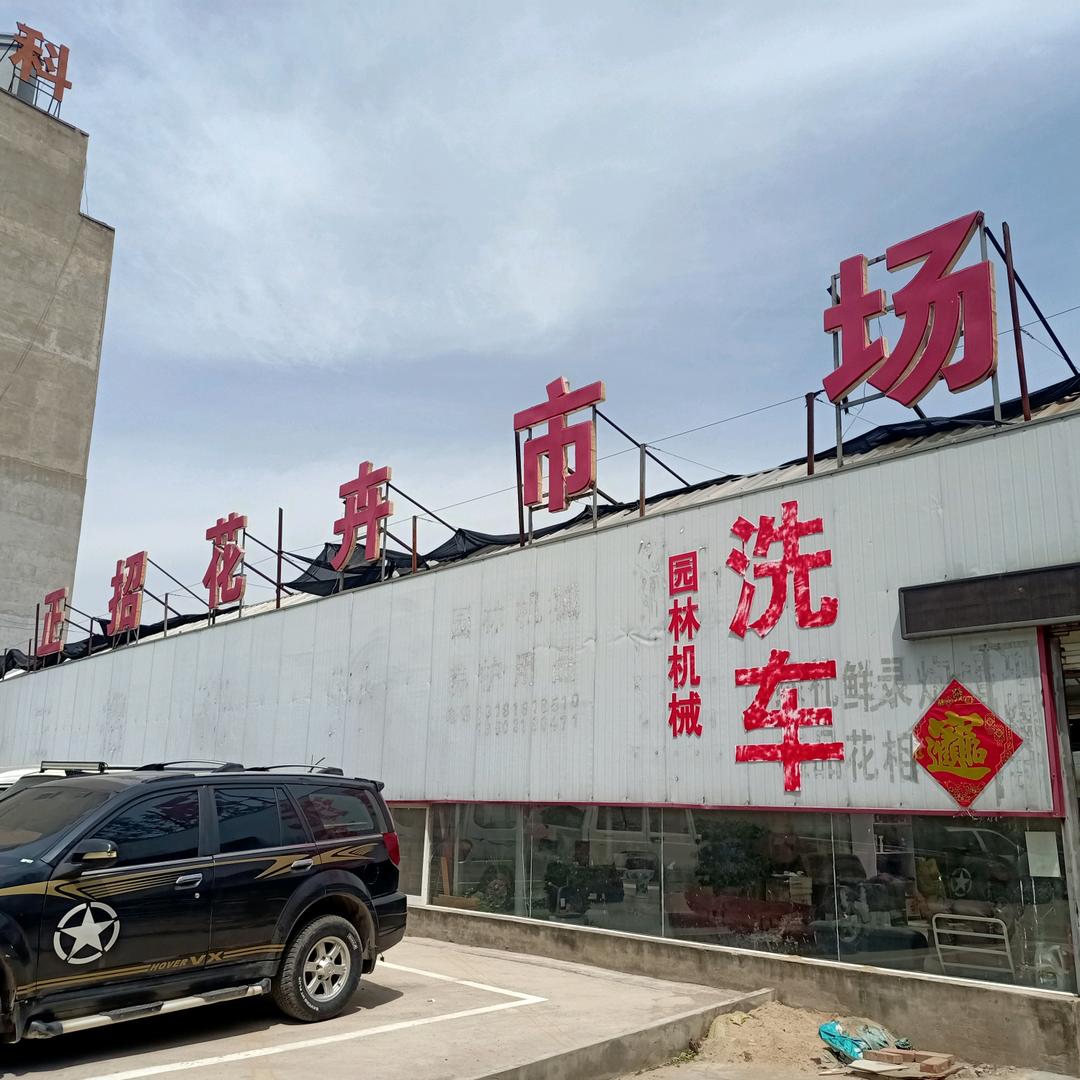 沙河正招鲜花绿植