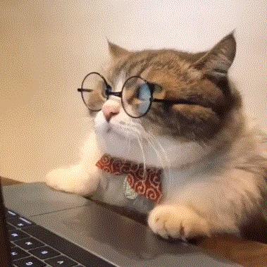 六亿女生告诉我只有名字够长她们才能记住