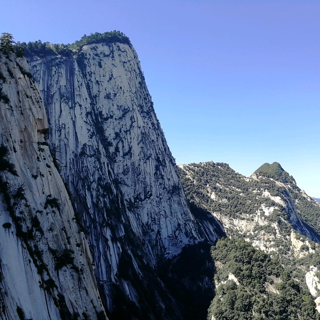 李伟