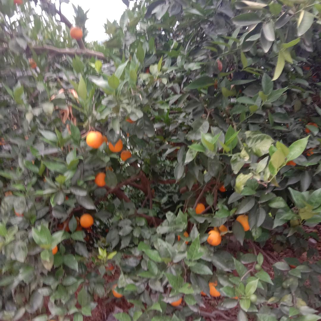 太好