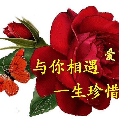 快乐相伴