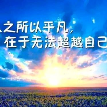 霞姐：生活美学家