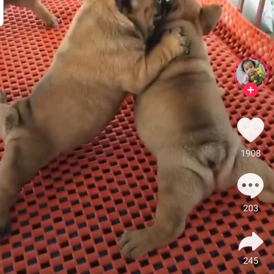 :别来无恙: