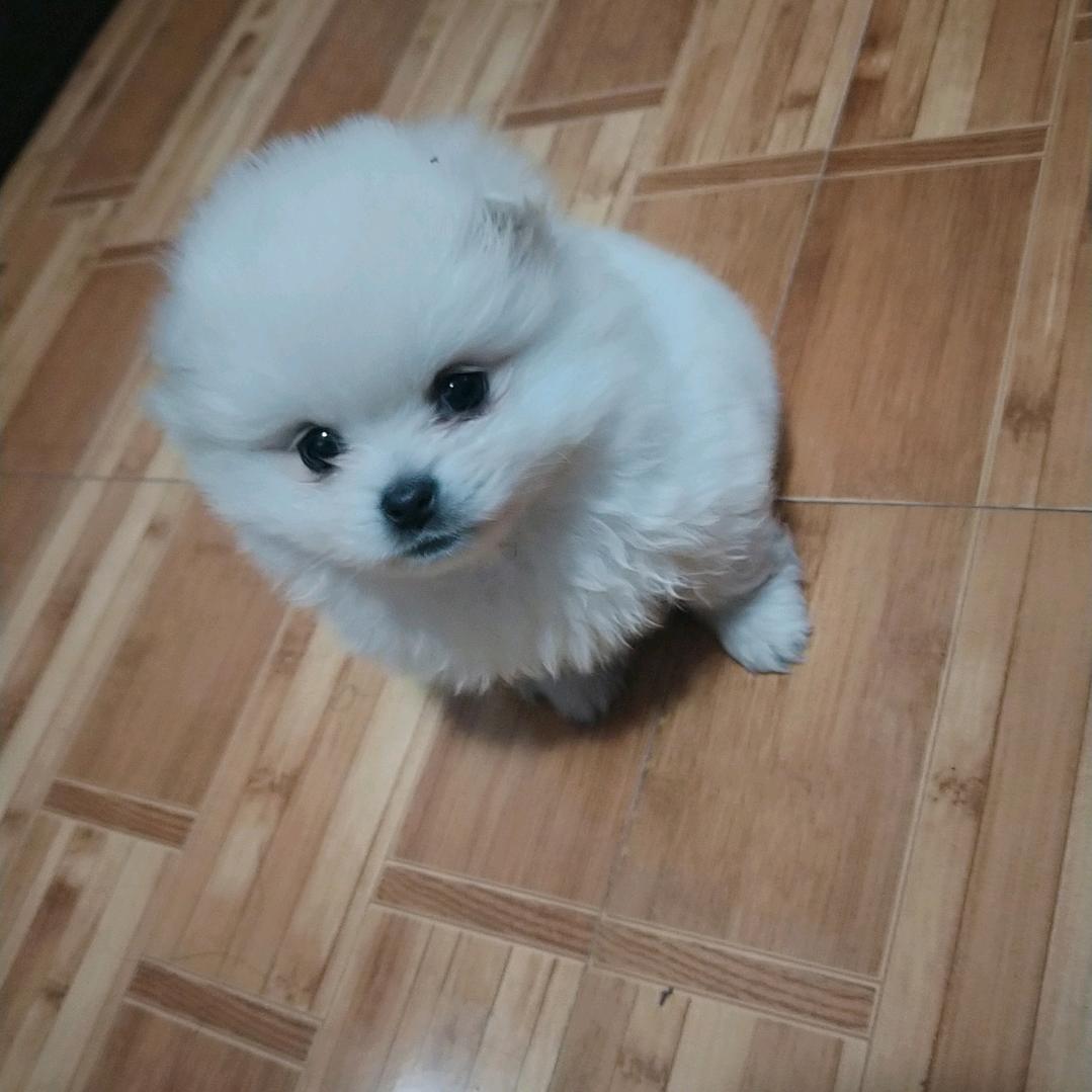 呵呵。。。