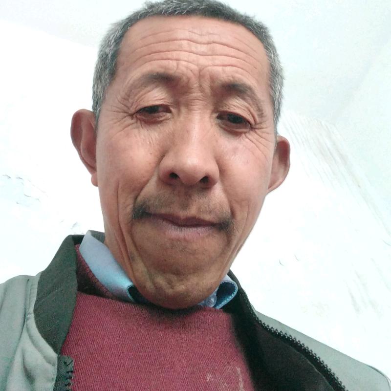 蛋货