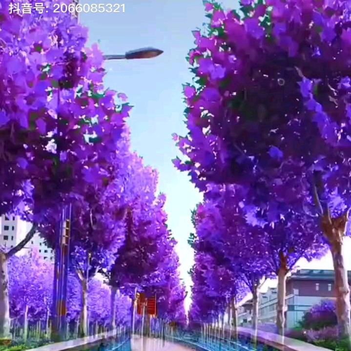 .人生如梦