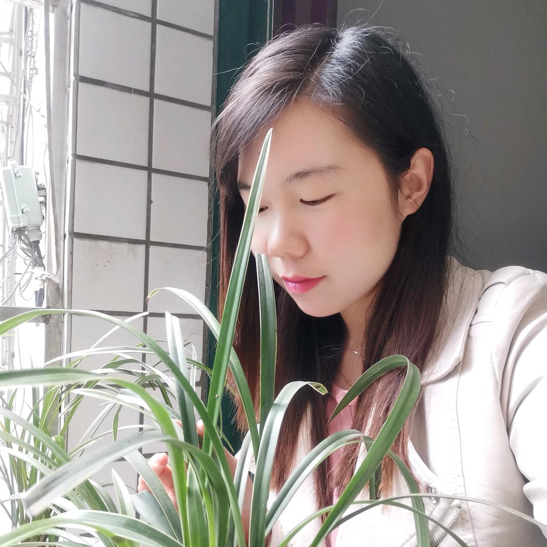 贵州幺妹