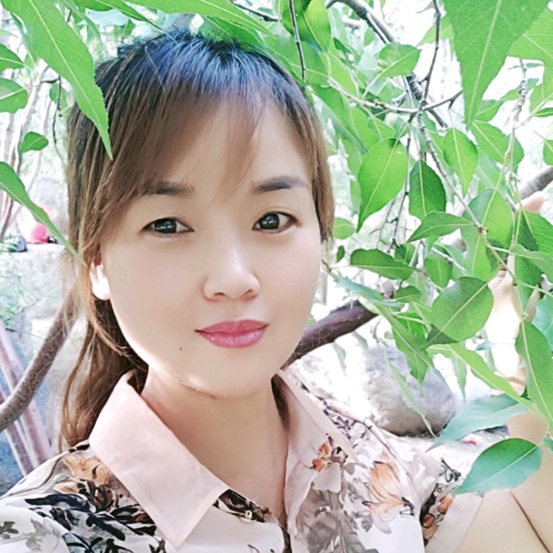 河南丽姐
