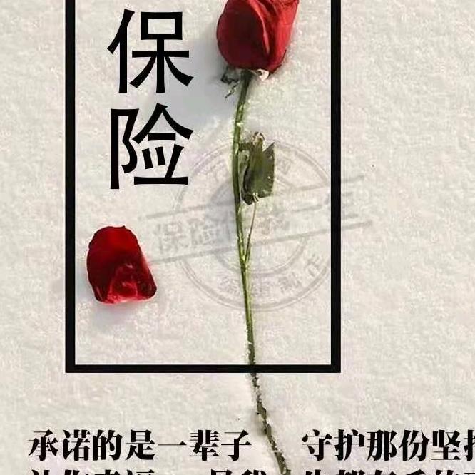 保险姐