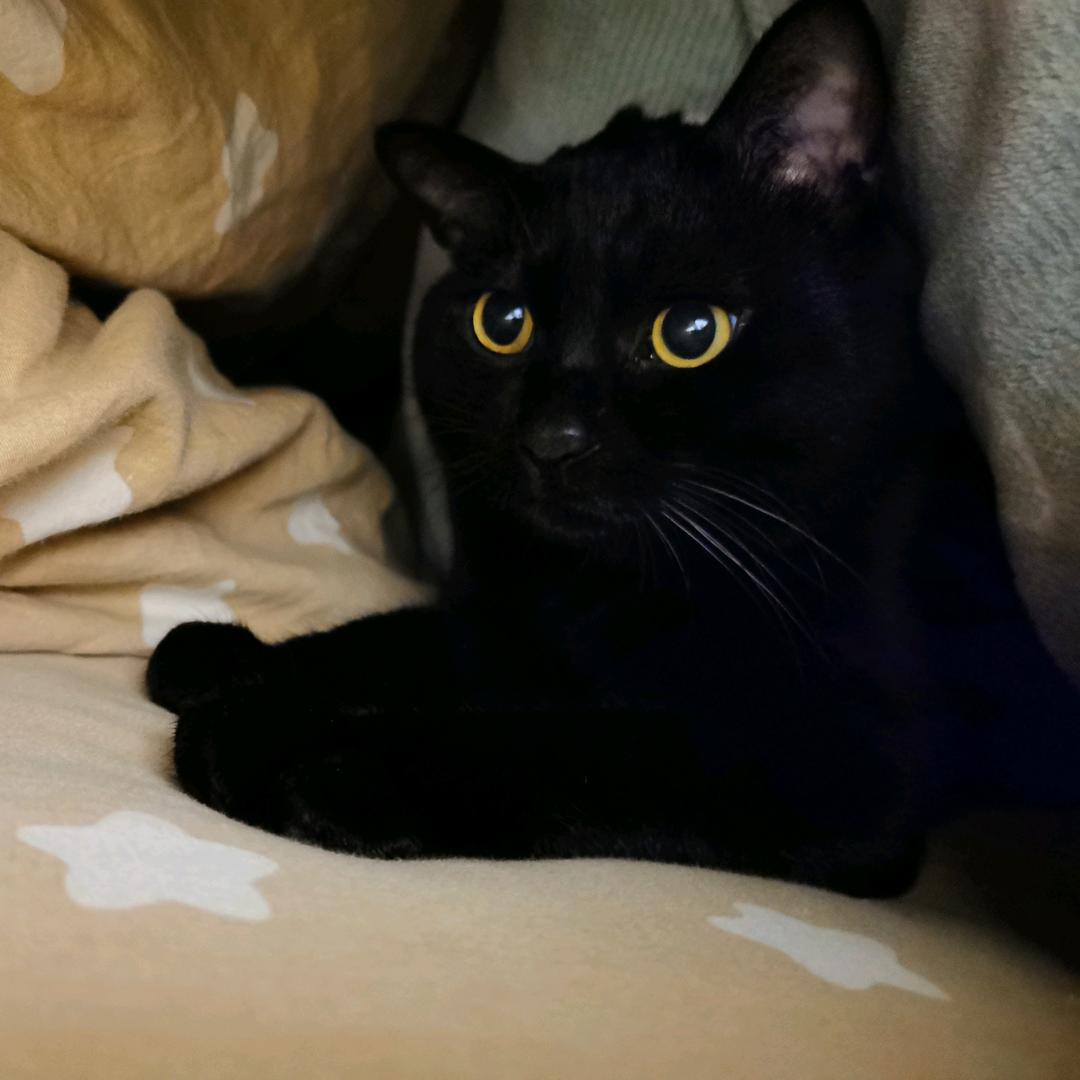 毛呦呦（真的见过梓渝啦！）