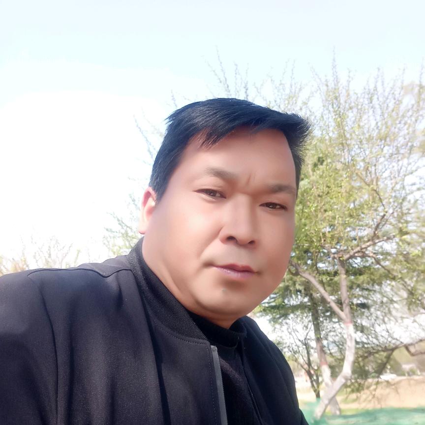 会飞的狼
