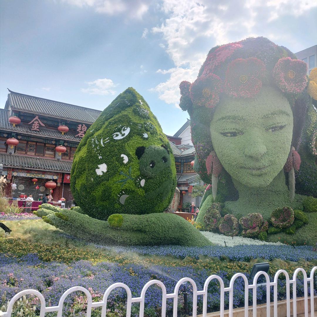 莲<手机拍摄>