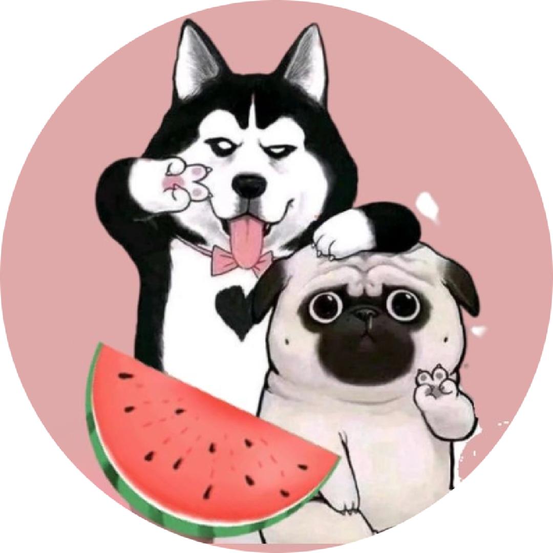 娱圈老狗
