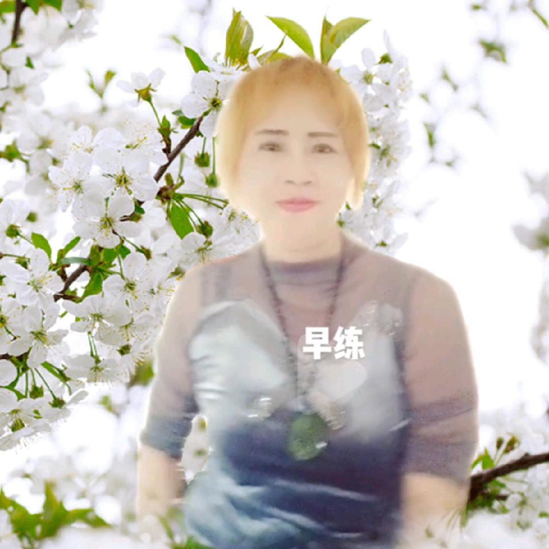 梅子记录美好生活