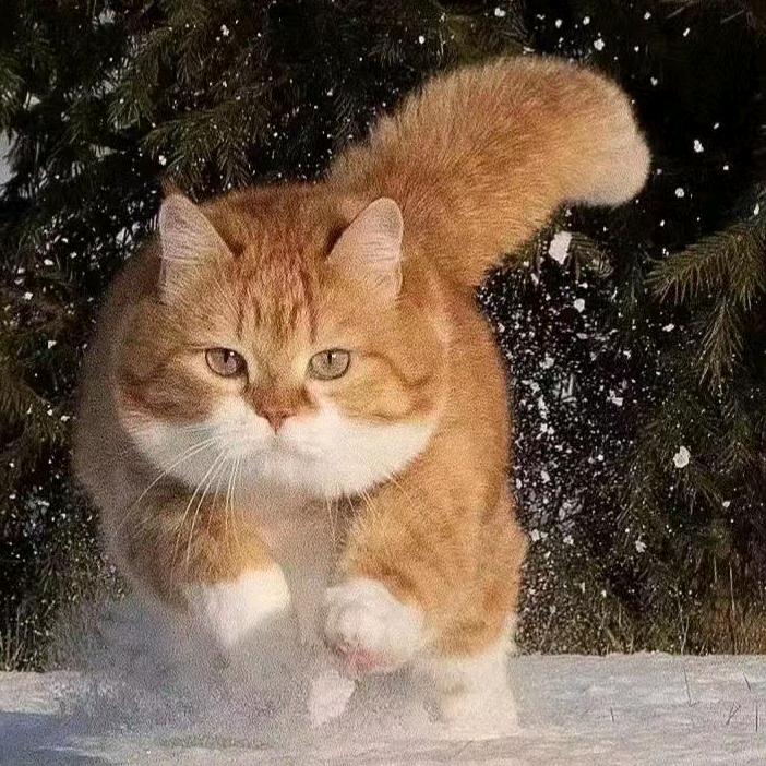 发部落植物染发养发