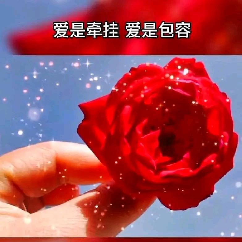 越简单越快乐