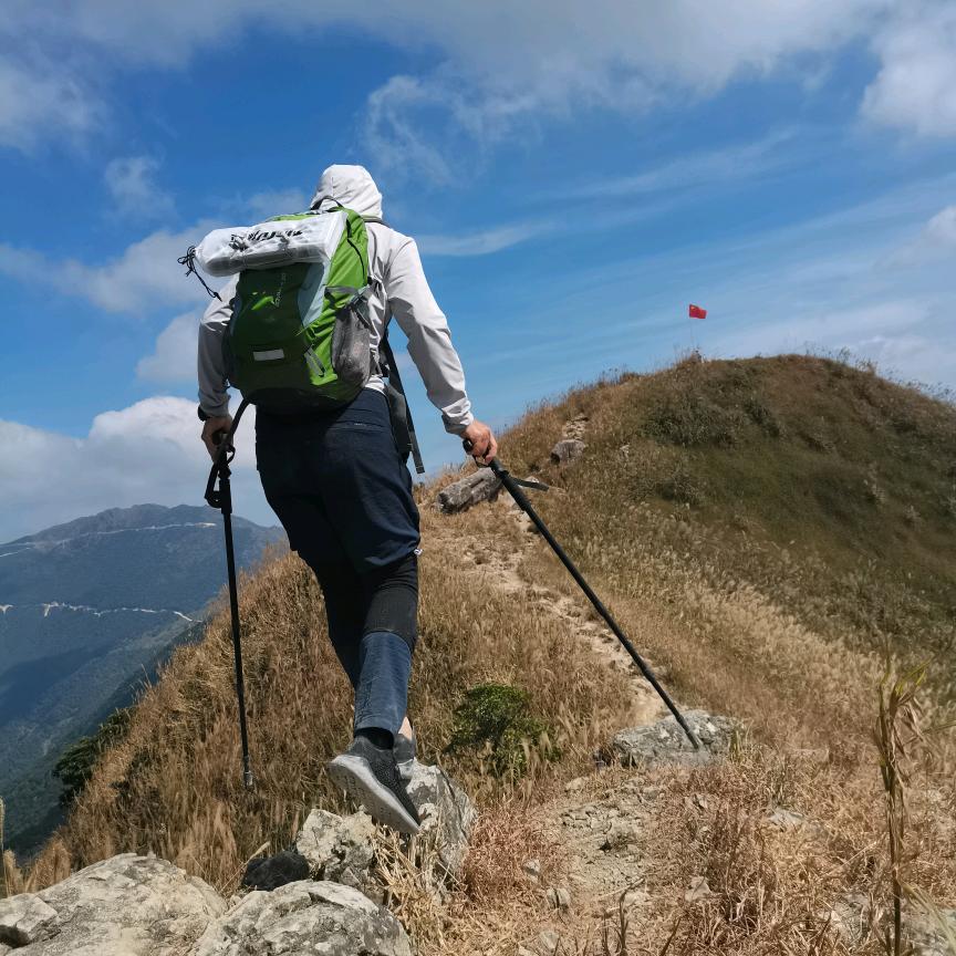 🐷小美哥哥(^-^)