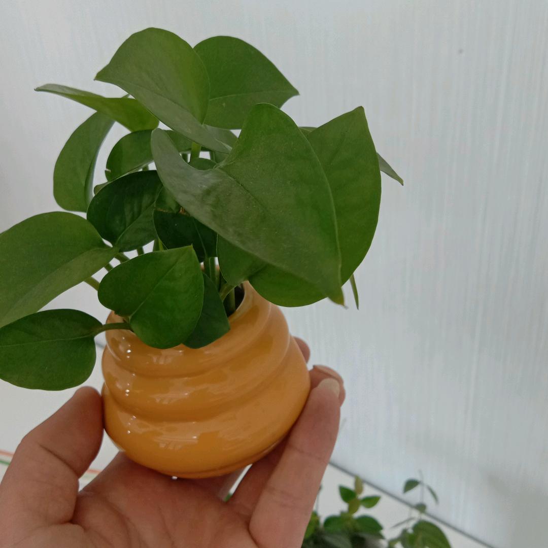 顺其自然.