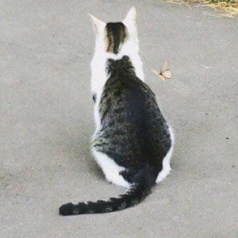 向阳