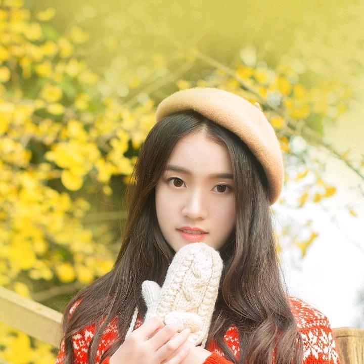 小玫瑰