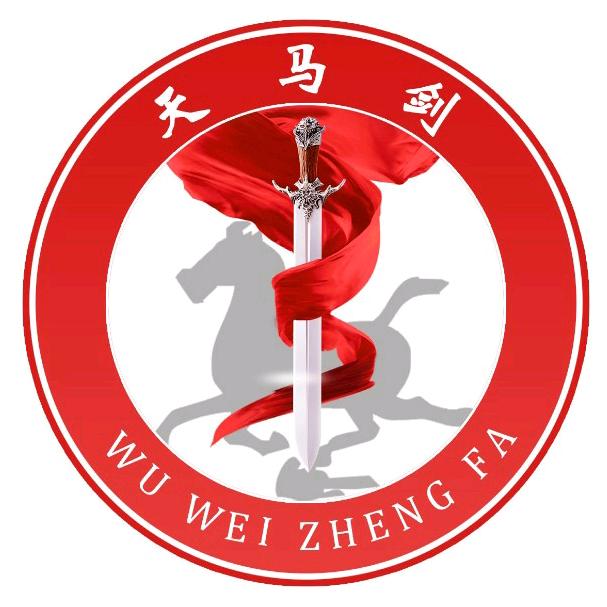 武威政法
