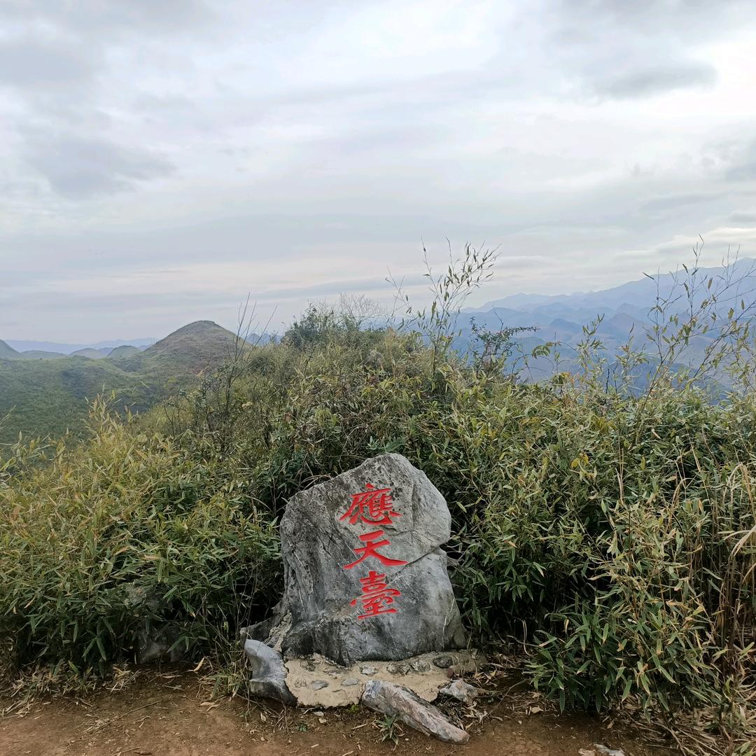 菲你莫属
