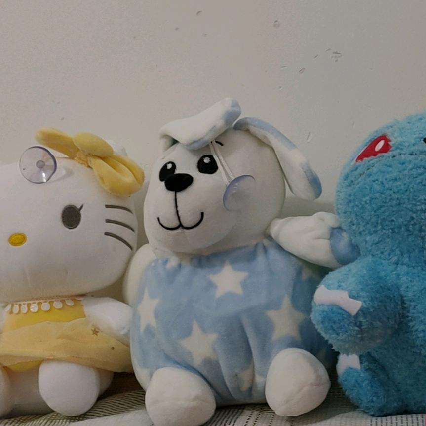 ✿✿明天会更好✿✿