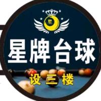 白沙星牌台球🎱