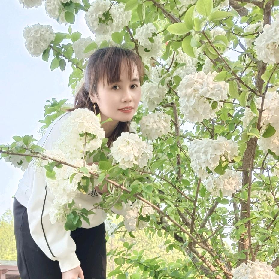 湘西玲姐