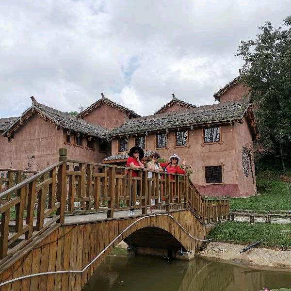lán yīng