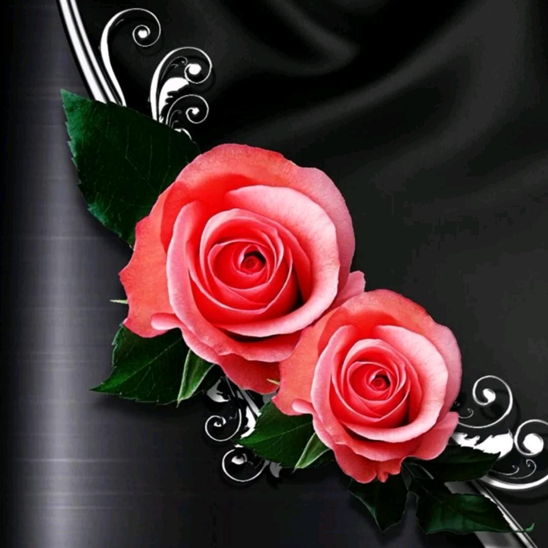 人不如故衣不如新